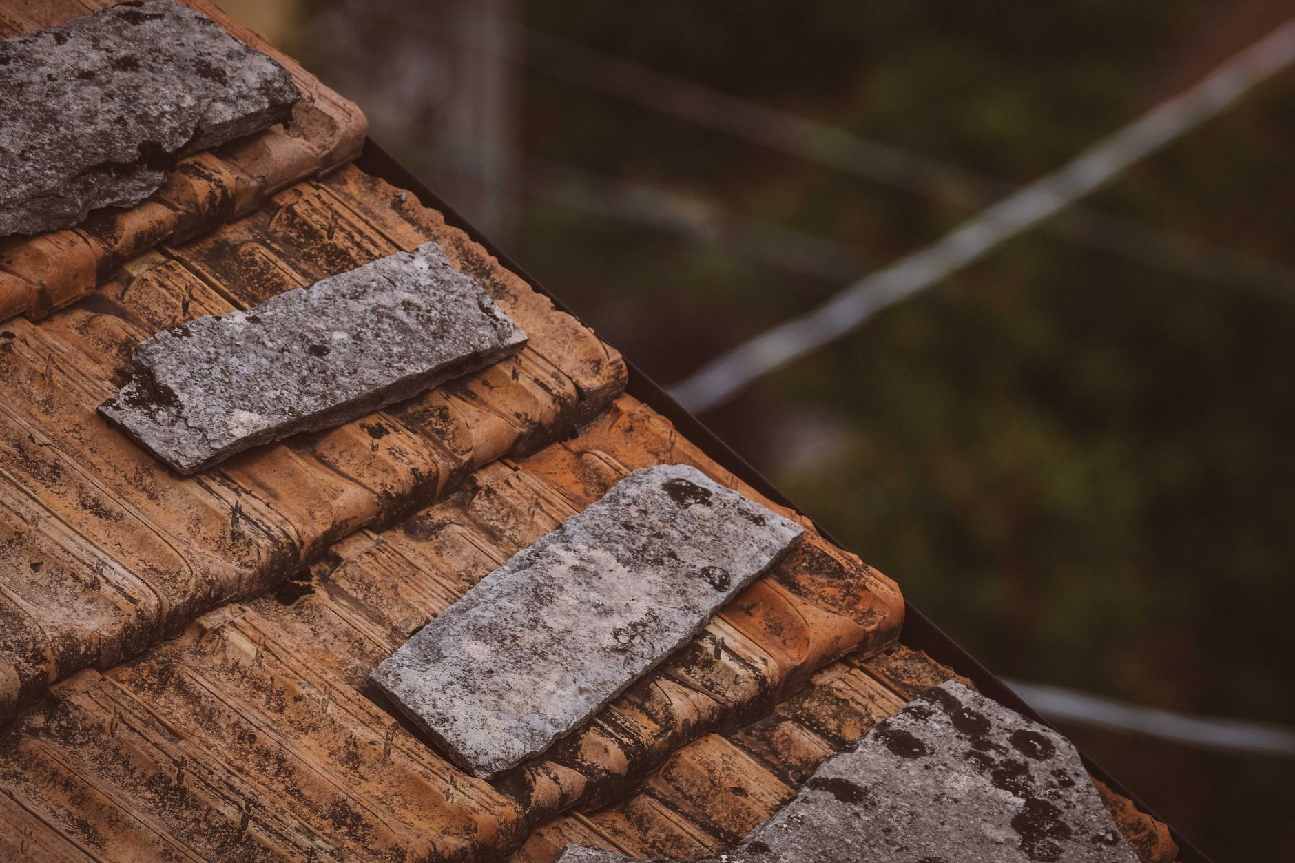 Roof Inspection — Wolf Roofing & Renovations