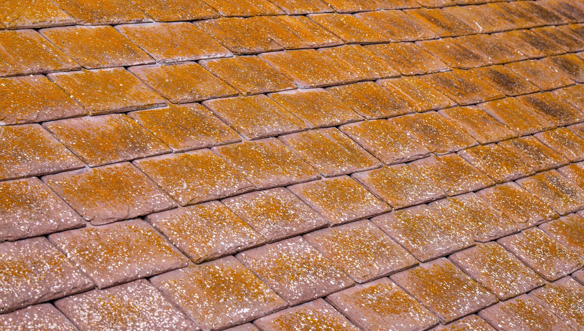 Flashing & Leak Repair – Seguin